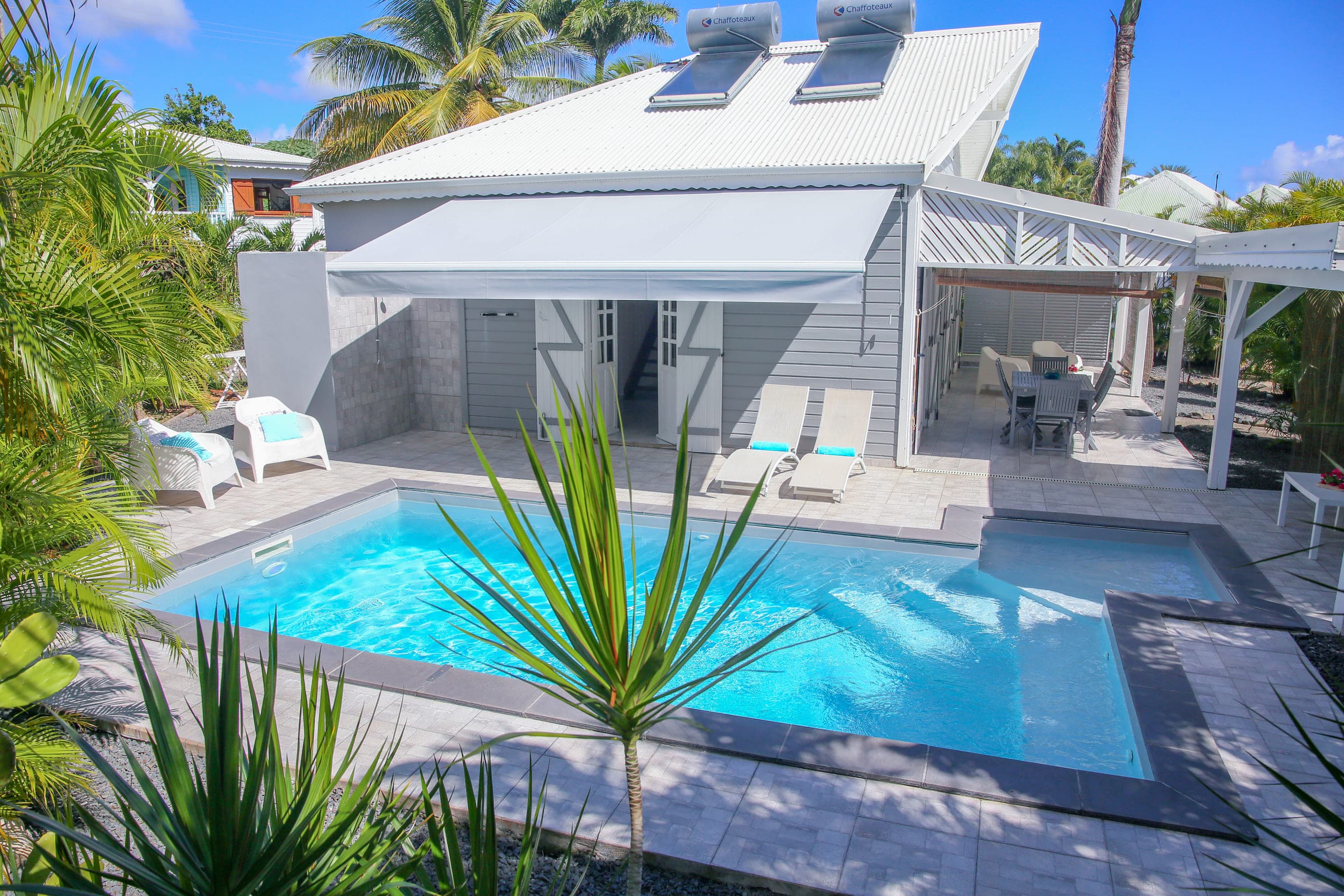 La piscine de la Villa Bahia derrière un jeune palmier du jardin