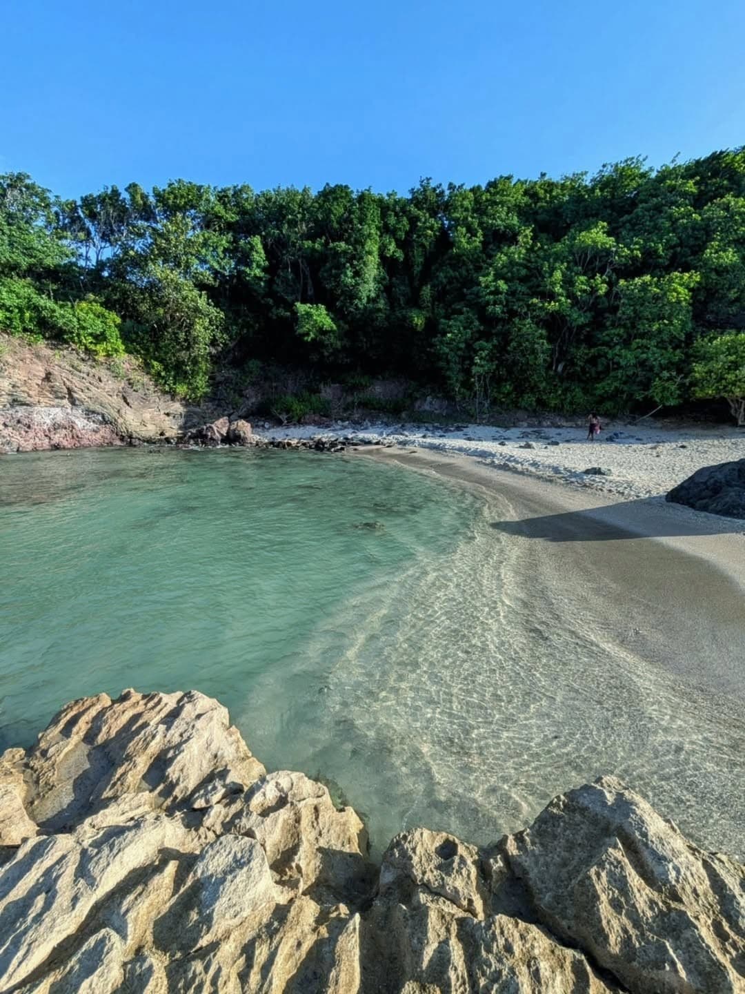 Petite crique aux eaux transparentes sur la côte guadeloupéenne